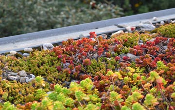 the cost of Thorpe Le Soken green roof installation