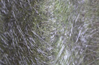 Thorpe Le Soken fibreglass roof work